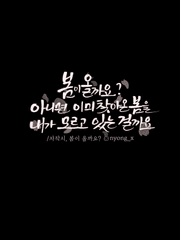 시와 캘리그라피