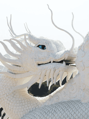 드래곤 라자/퓨처 워커