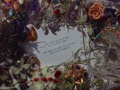 Fears of Shakespeare