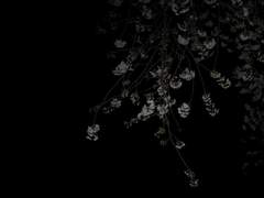 감사의 인사, 두 번째.