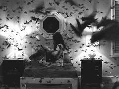 [배트맨 드림] 독