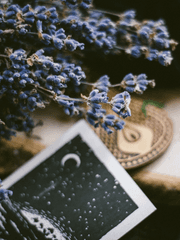 Prove :: 여름의 하늘