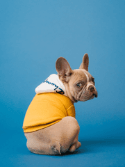 리액션 라이브 다시보기 Reaction Live Replay