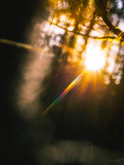 [원피스] 잃어버린 열쇠를 찾아서