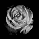 일장춘몽 : 아이들