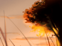 [연성교환 전용] 석양과 너