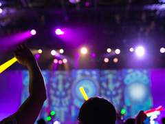 카야가 부도칸에 가 준다면 난 죽어도 좋아