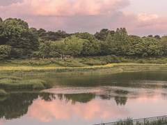 폐업 겸 저렴하게 처분합니다