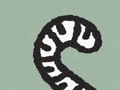 유실 우진서주 백호수인과 선비