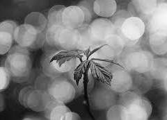 [ 잠뜰 tv / 미수반 × 수이플 ] 무서워도 꾹 참기