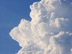 영원의 푸른 여름