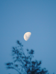 내 계절의 모든 순간