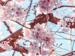 [웆홋] 사랑의 형태