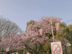 동화의 끝은 언제나