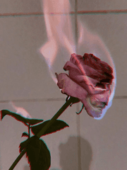 테이코 매니저에서 이나리자키 매니저로 살아남기