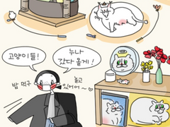 원화 옥션 낙찰 메일 발송드렸습니다!