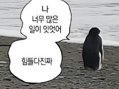 너의 장례식.