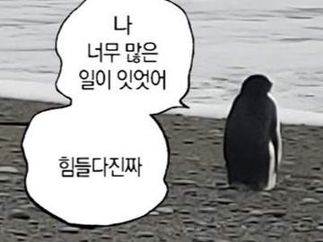 너의 장례식.