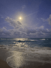 몬엑 nps/나페스