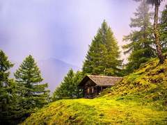 그들이 말하는 것은