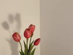 내게 사랑이란, 너였다.