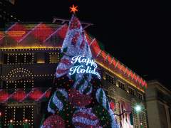 Romance in Winter Snow