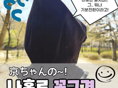 [킹오파/암경] 솜뭉치 사진시리즈 (쿄쨩의 나홀로 꽃구경♥)