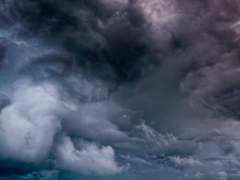 나는 지은 죄가 많았고