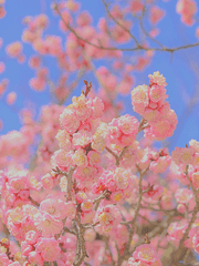 [나에겐 봄이었다]