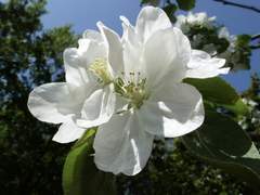 [💔] Jump into a deeper hole