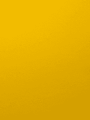 [번외] 짧은 번외들