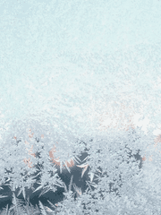 살아갈 이들에게 바치는