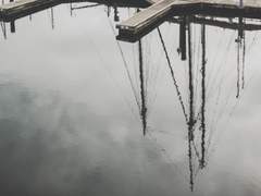 신뢰에 대하여.