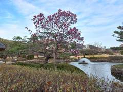 율전 작가의 사진 대공개~! :)