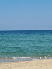 그저 기억잃은 드림주와 사쿠사를 요원물로 보고 싶었을뿐