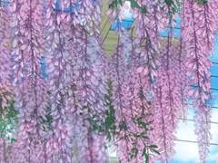 당신 마음속에 들어가고 싶은 사람이.