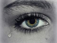 가장 최근에 울었던 기억