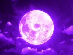 [뜰팁/장편] 일루션 프롤로그