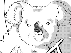 신혼여행 사기부부단