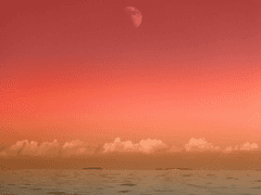 붉은 해변가에서 (2)
