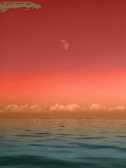 붉은 해변가에서