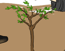 2022.04.05 식목일...이었던것