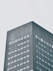 평화따위 개나 주고