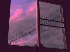 눈치채지 못했지?