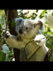 [해리드레] Don't let go