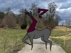 그것은 늪지대에서 왔다!