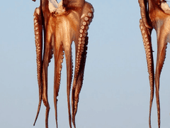 굉장히 본격적인 현느리비어스의 사고