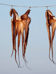 전생에 찐따 오징어얼굴 귀차니즘 쩌는 내가 이세계에서는 초미남 왕자인줄?