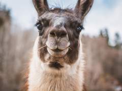 이것은 인지도 바닥이던 Lv1.창작자가 Lv10.창작자로 뛰어오른 대서사시(??)이다.