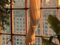 서택훈, 마흔 일곱, XY